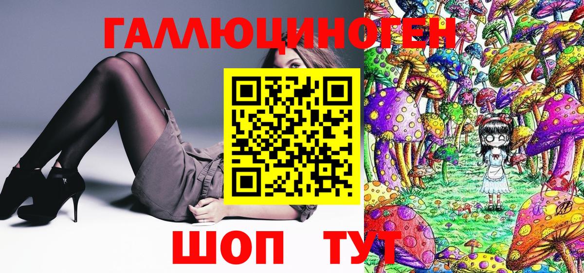 Галлюциногенные грибы GOLDEN TEACHER  Псилоцибиновые грибы Cubensis  Вход с VPN  закладки  Тулун 